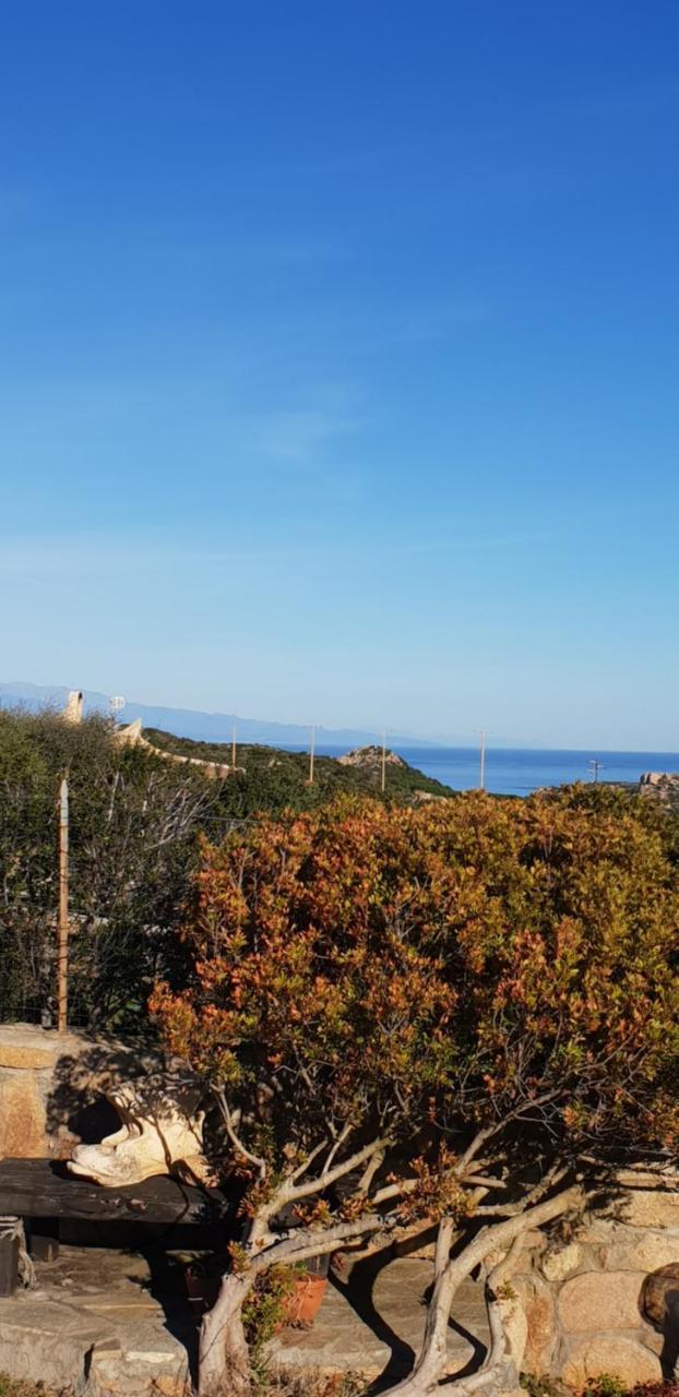 Villa Sprafundu La Maddalena  Eksteriør billede